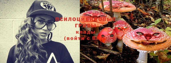 а пвп мука Кукмор
