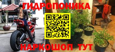 jwh Берёзовский