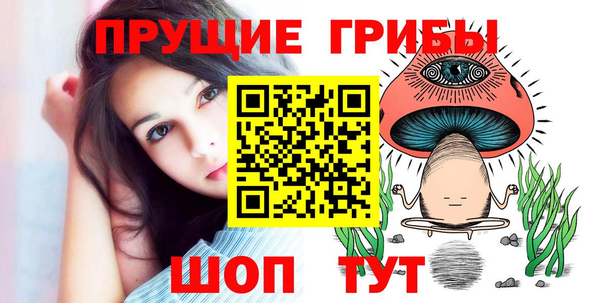 даркнет сайт  Каменск-Уральский  Псилоцибиновые грибы Psilocybine cubensis  Псилоцибиновые грибы Psilocybe 