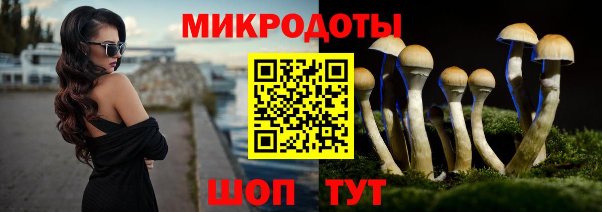 даркнет сайт  Псилоцибиновые грибы Psilocybine cubensis  Вход с VPN  Псилоцибиновые грибы ЛСД  Каменск-Уральский 